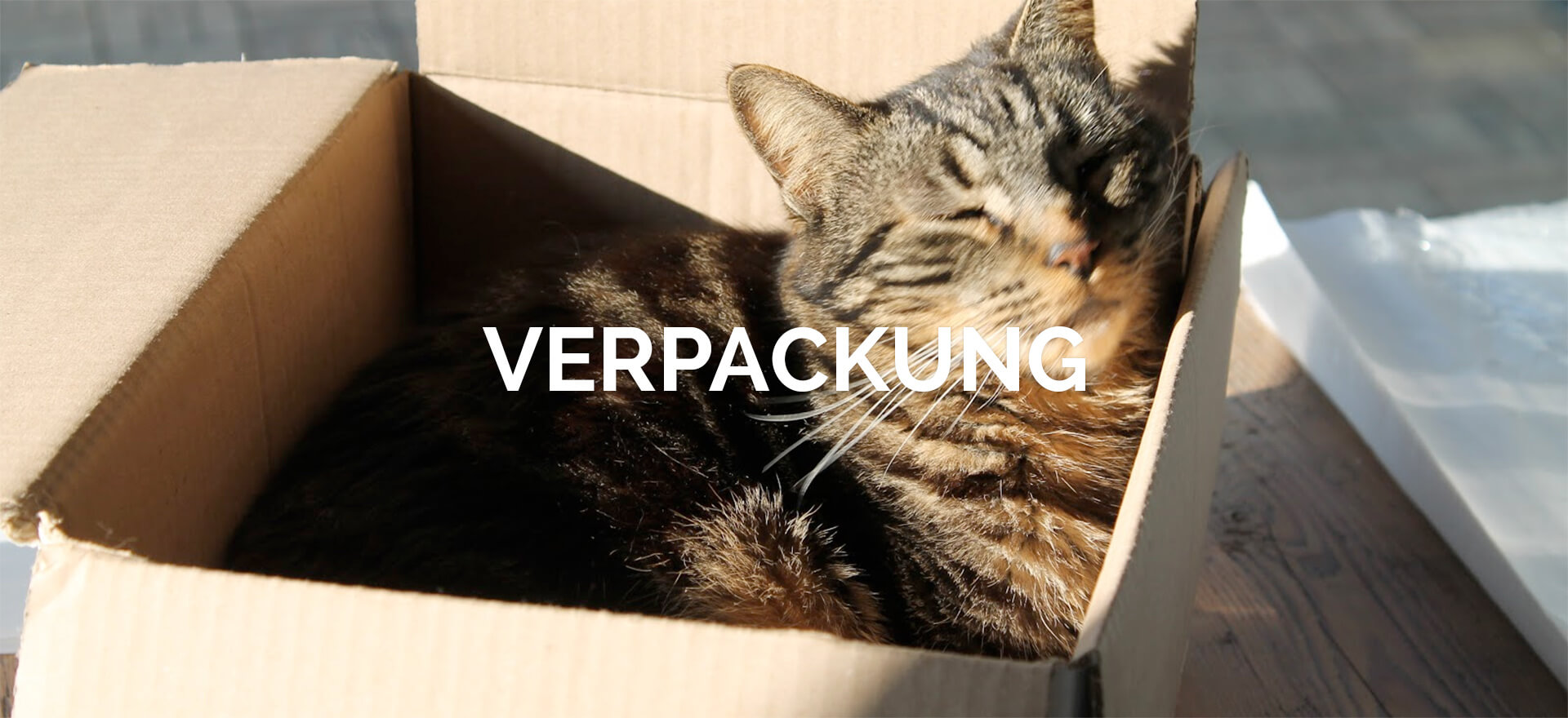 Verpackung für den Umzug in nach und von Wien